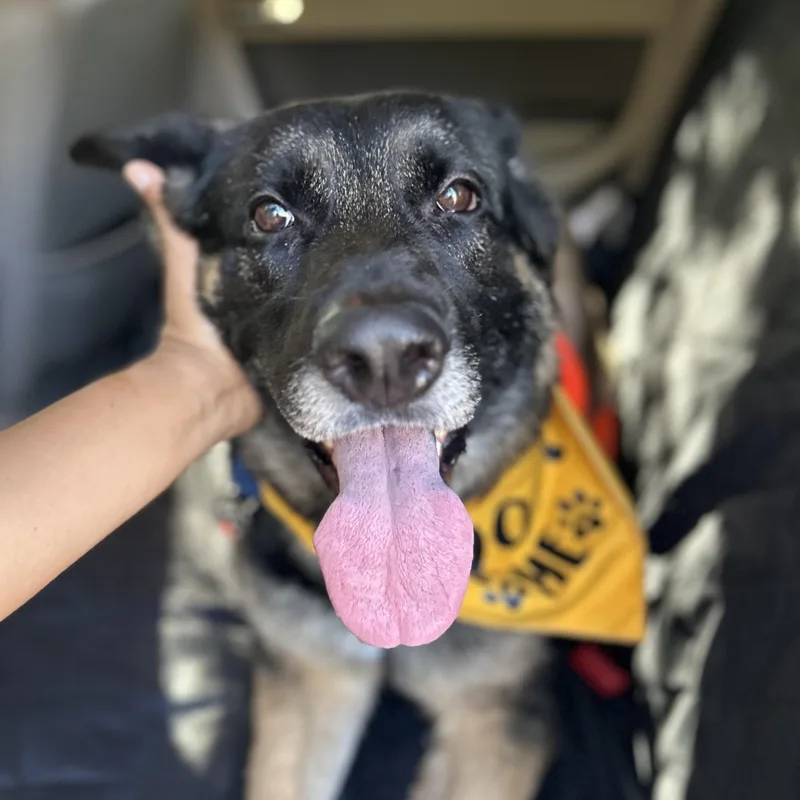 Starburst thumbnail 5