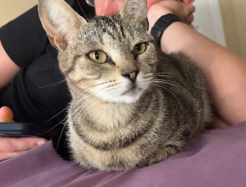 Tabitha thumbnail 2