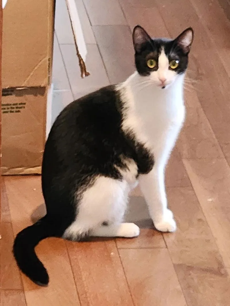 Dot And Henry thumbnail 2