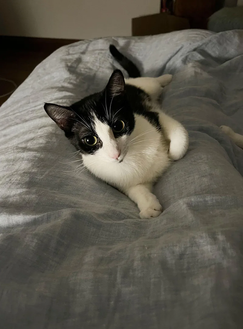 Dot And Henry thumbnail 3