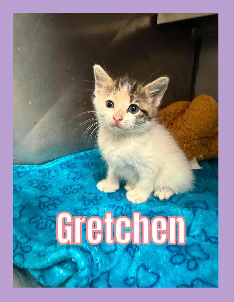 Gretchen thumbnail 2
