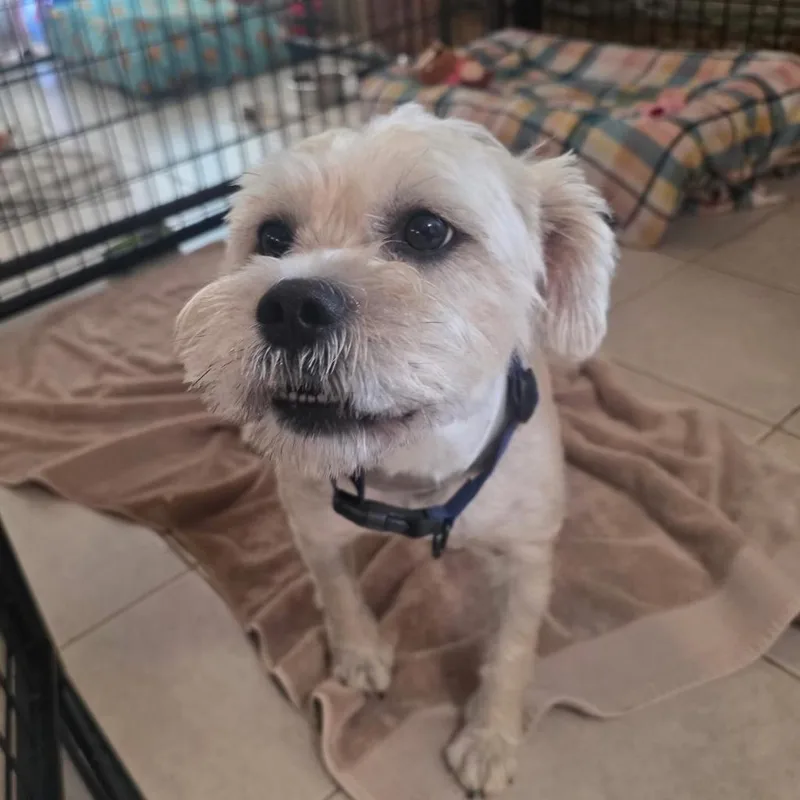 Charlie