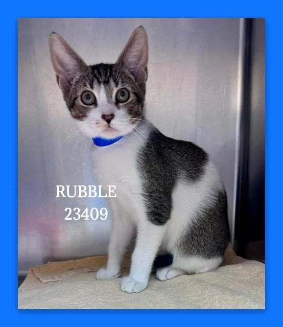 Rubble thumbnail 3