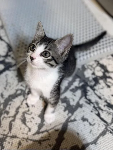 Mia