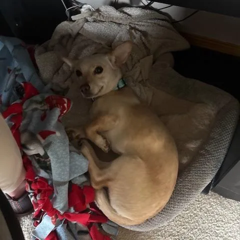 Darla thumbnail 2