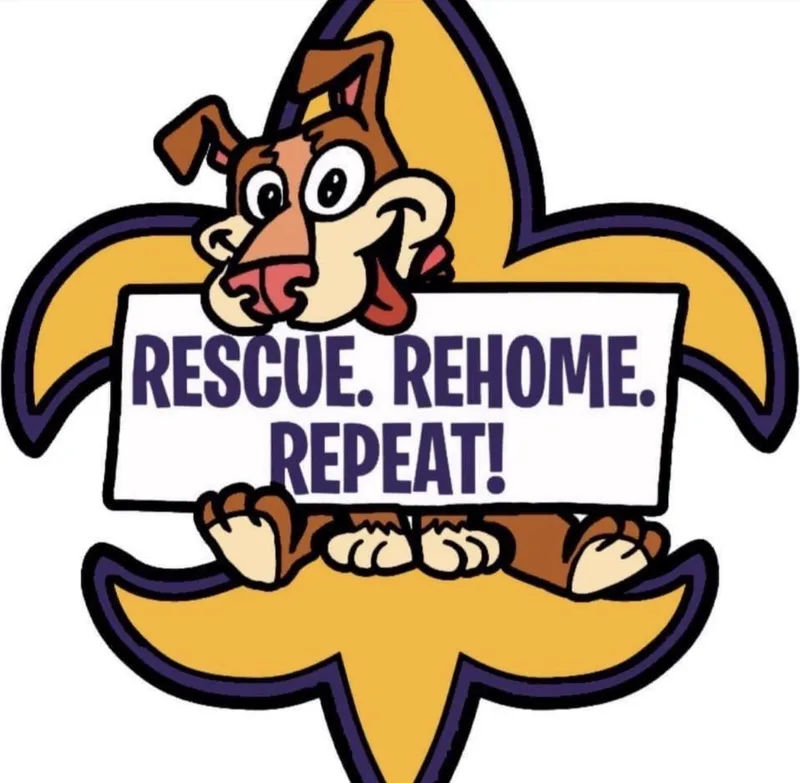 A baby medium-sized female Terrier dog named Laynee for adoption in Walker, LA