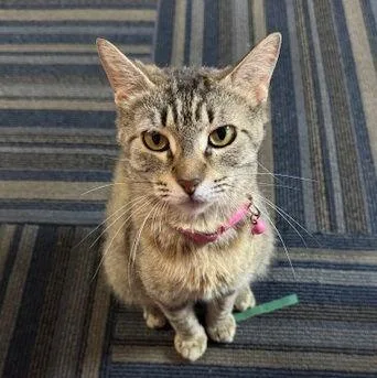 Lily Seeksoutaffection thumbnail 2