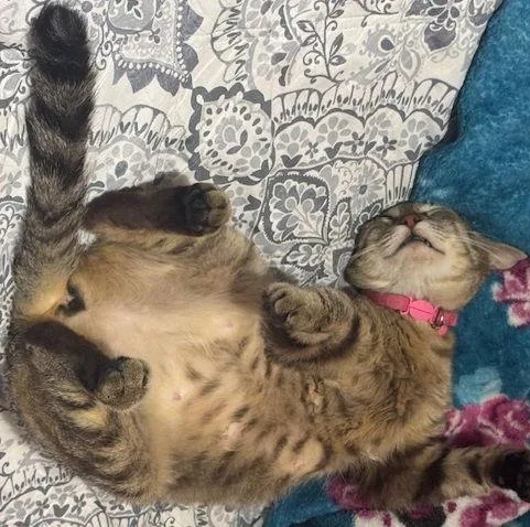 Lily Seeksoutaffection thumbnail 3