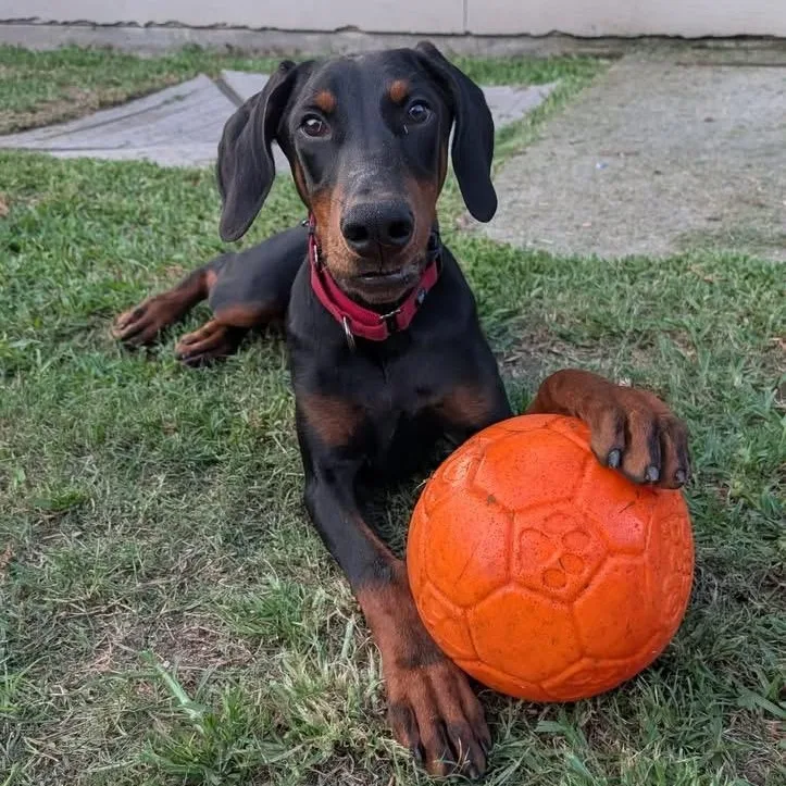 Huxley