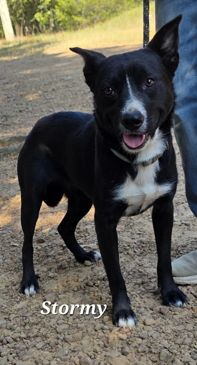 Stormy