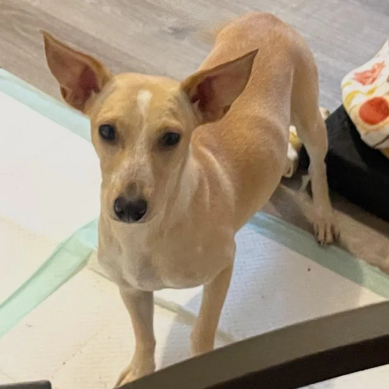 Jan Levinson thumbnail 2