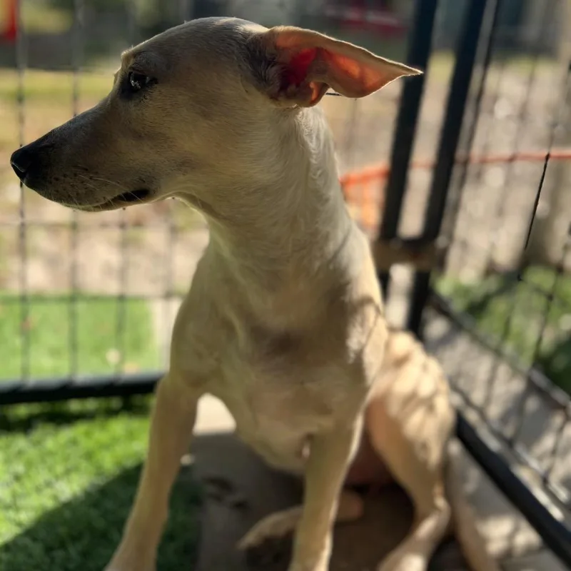 Jan Levinson thumbnail 3