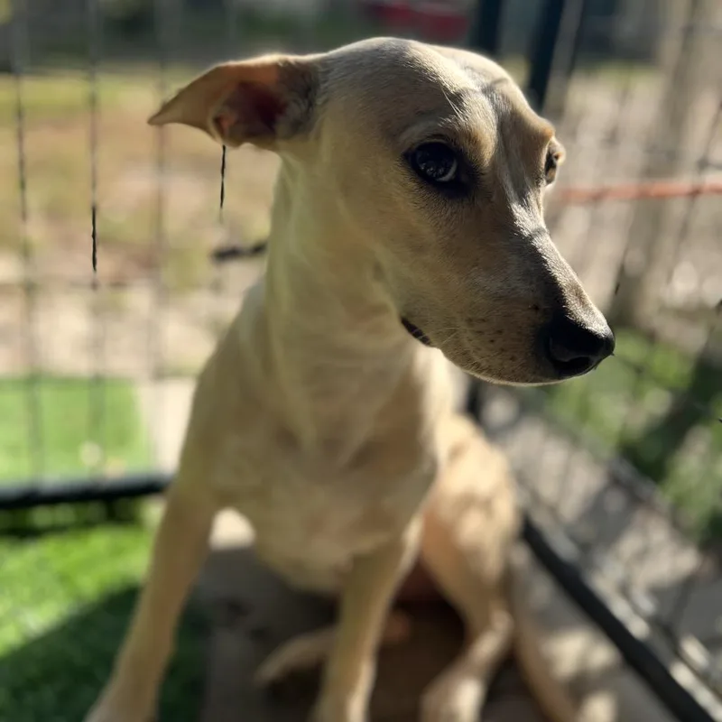 Jan Levinson thumbnail 4