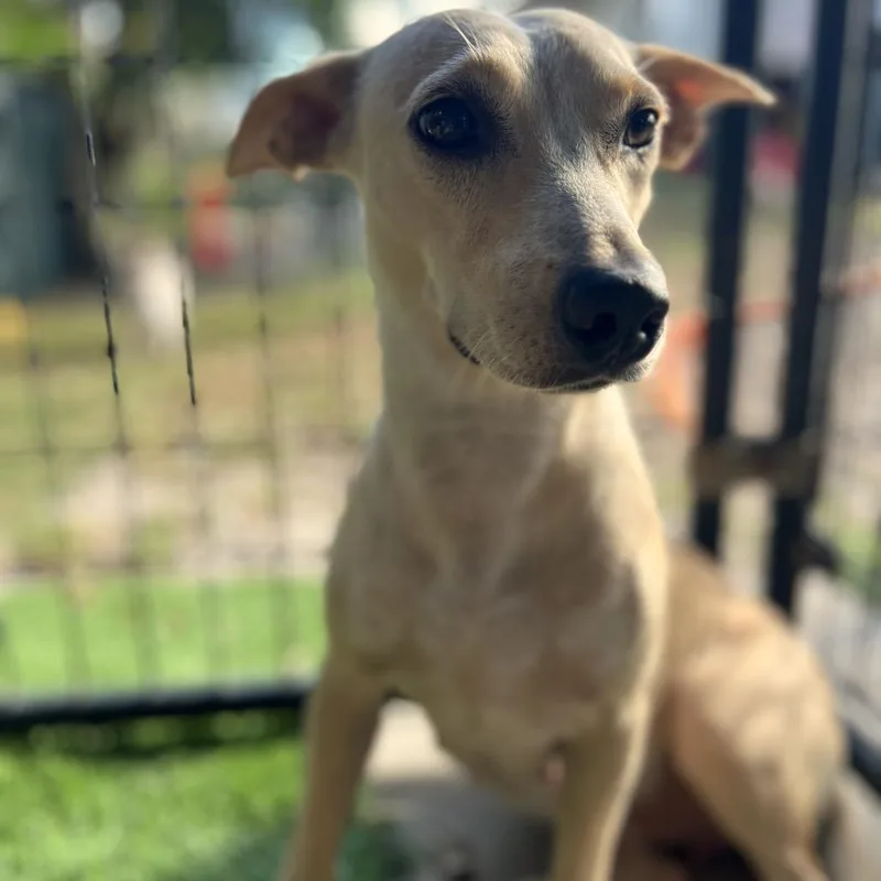 Jan Levinson thumbnail 5