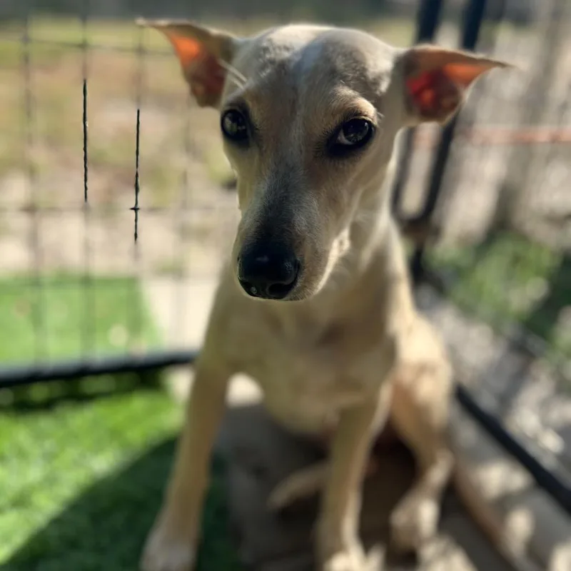 Jan Levinson thumbnail 6