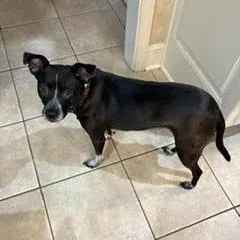 Zaylee thumbnail 2