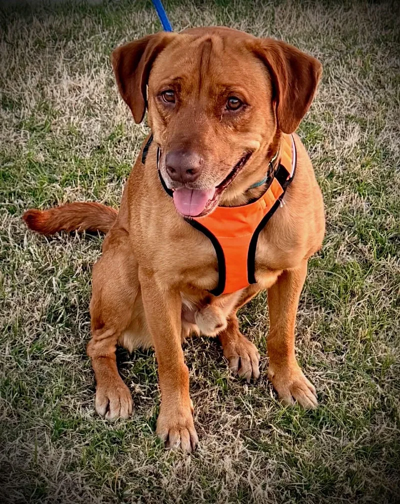 Carwash Buddy Lives At