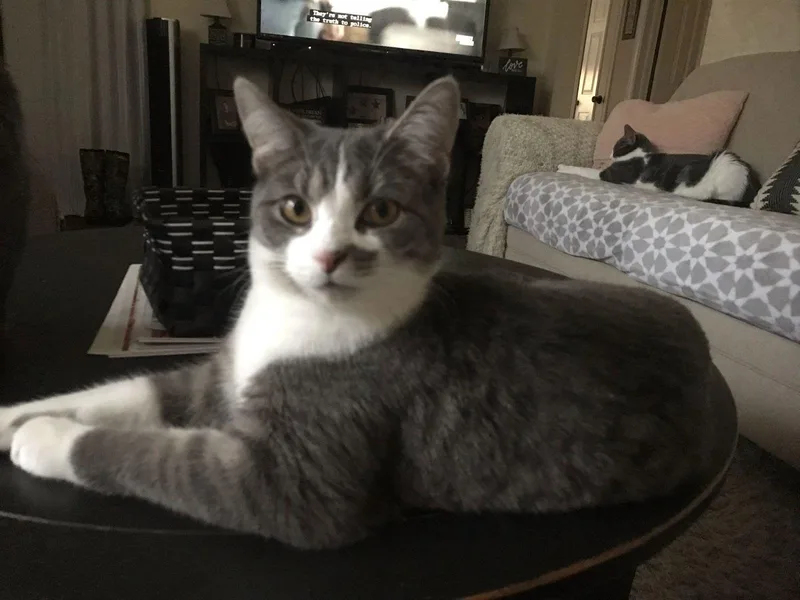 Marilyn  Happy Girl!