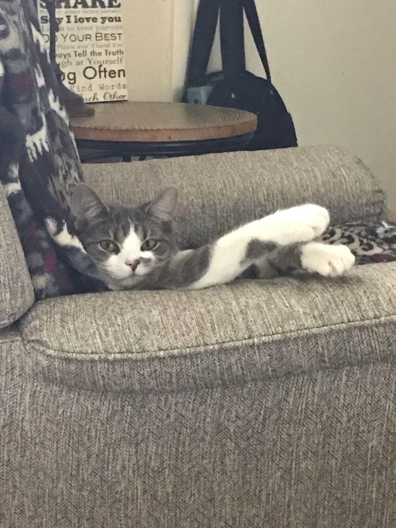 Marilyn  Happy Girl! thumbnail 3