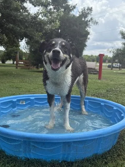 Ladybird thumbnail 2