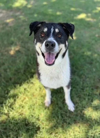 Ladybird thumbnail 3