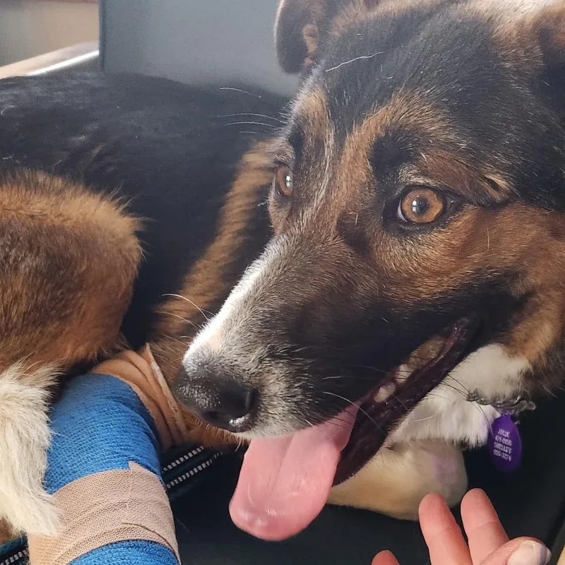 Charlotte thumbnail 2