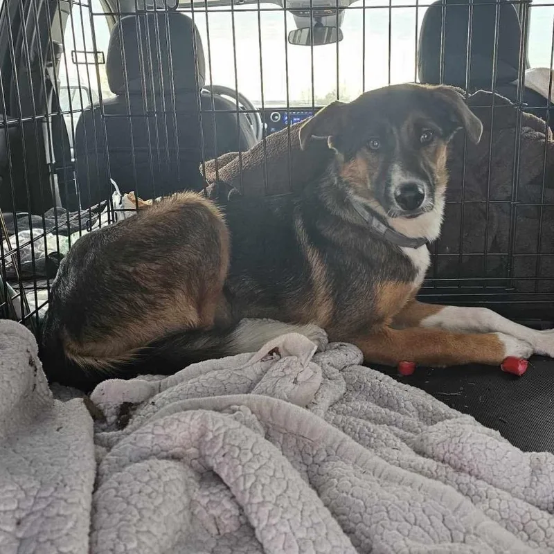 Charlotte thumbnail 3