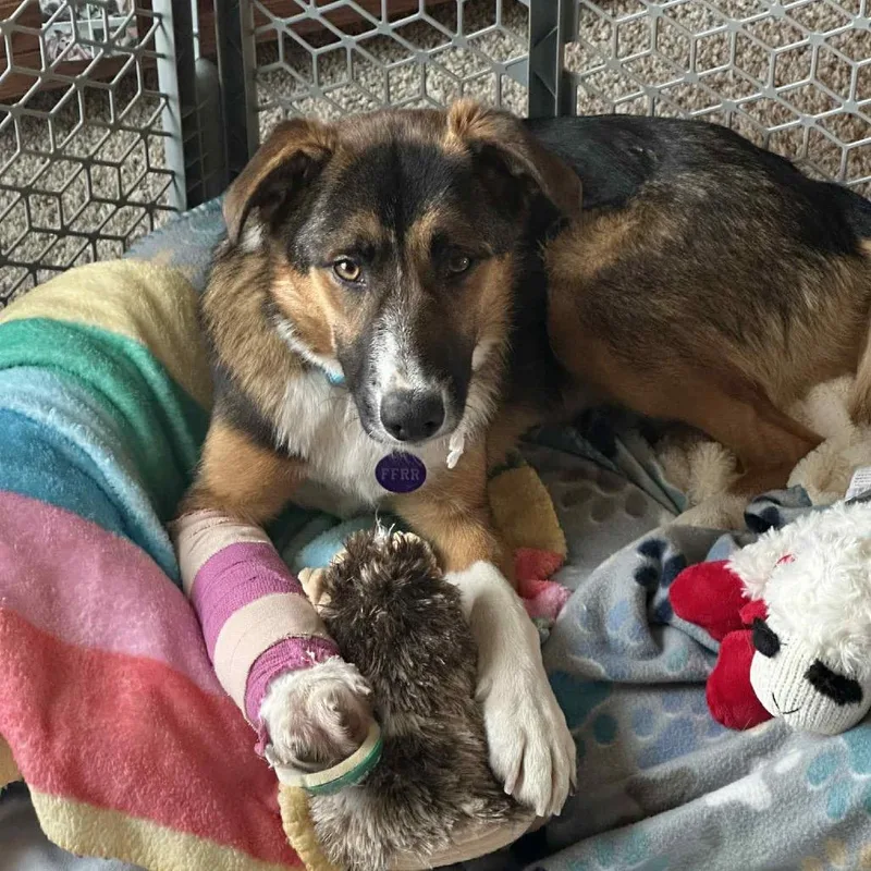 Charlotte thumbnail 4