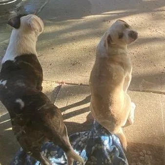 Bonnie And Clive thumbnail 2