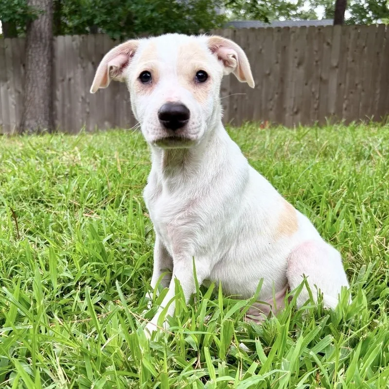 Nolan thumbnail 5
