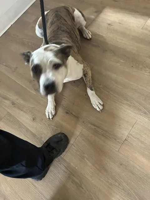 Patches