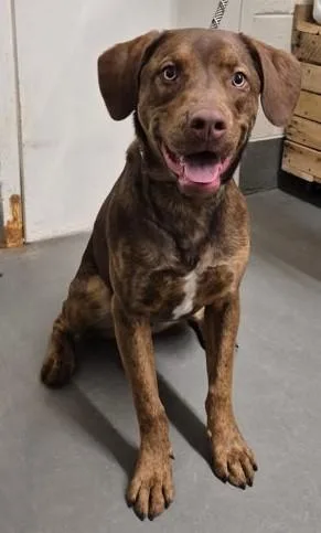 Coco