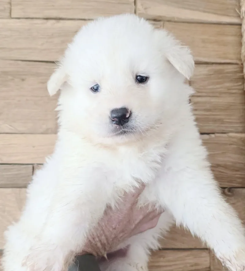 Marterat thumbnail 2