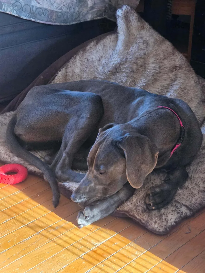 Lady Blu thumbnail 5