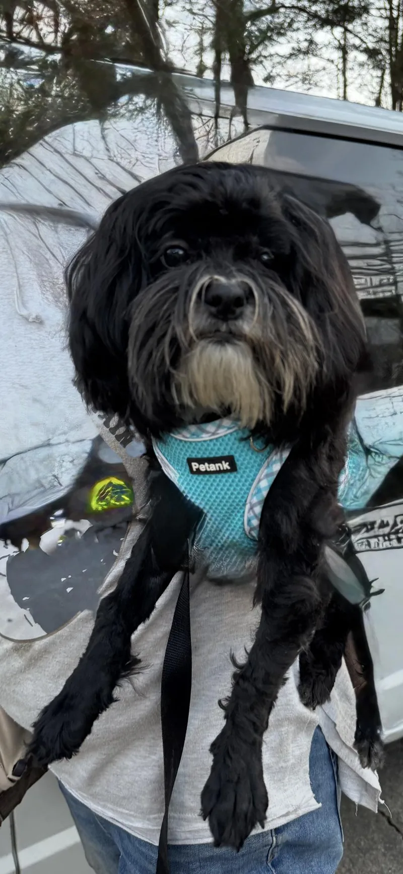 Toby W Video thumbnail 2