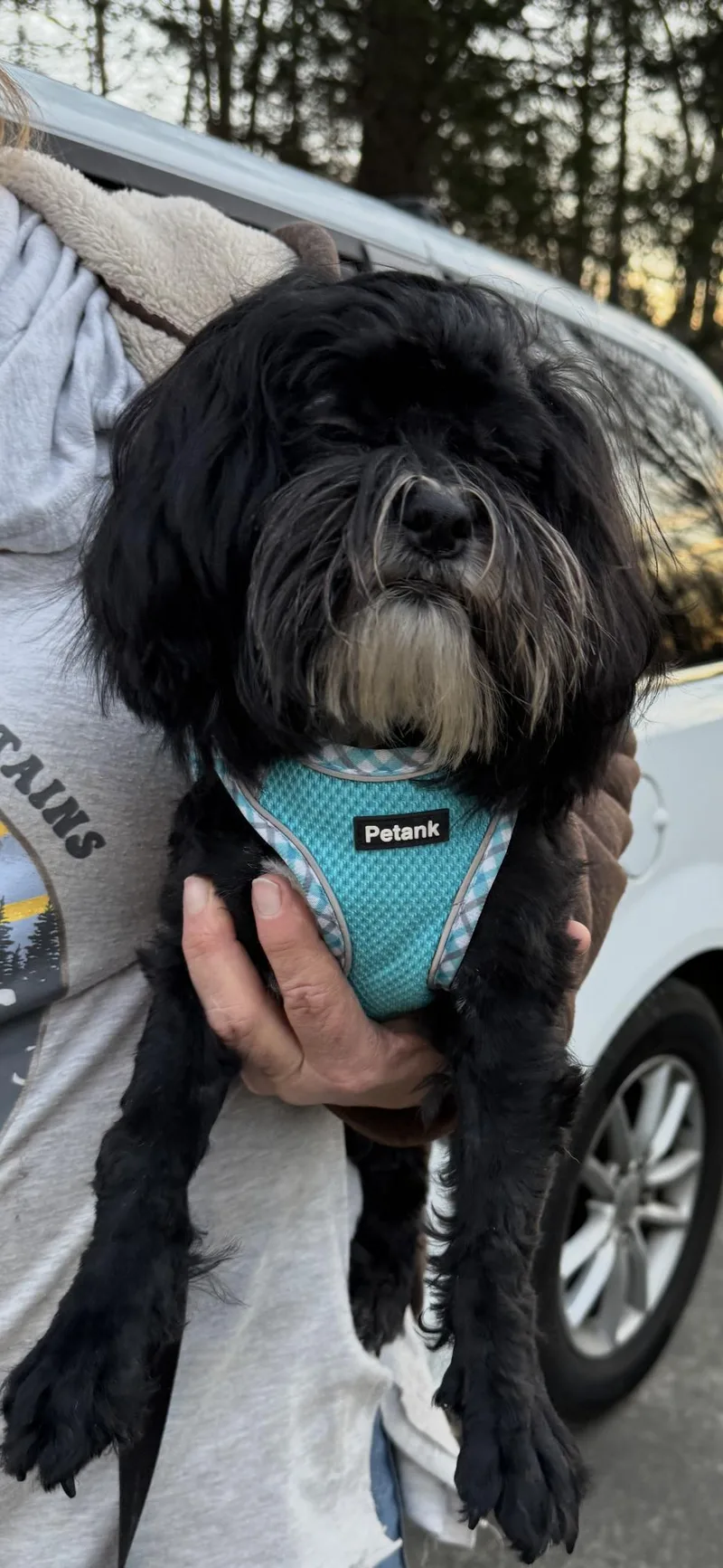 Toby W Video thumbnail 3