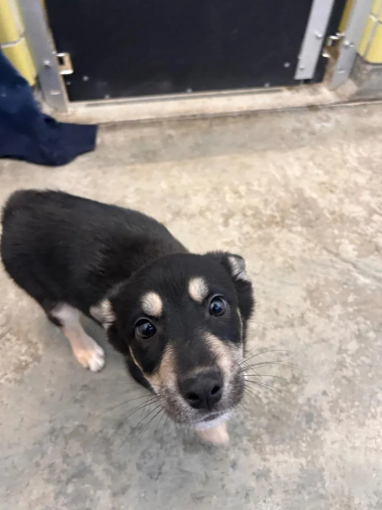 Thunderstruck thumbnail 2