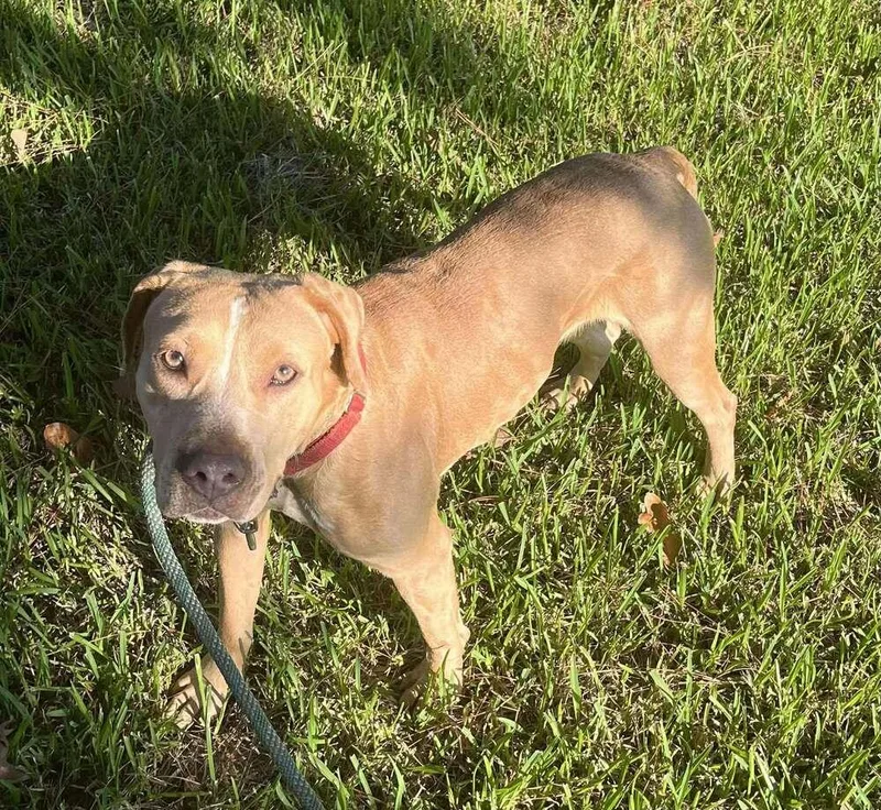 Bubbles A 💜 thumbnail 2