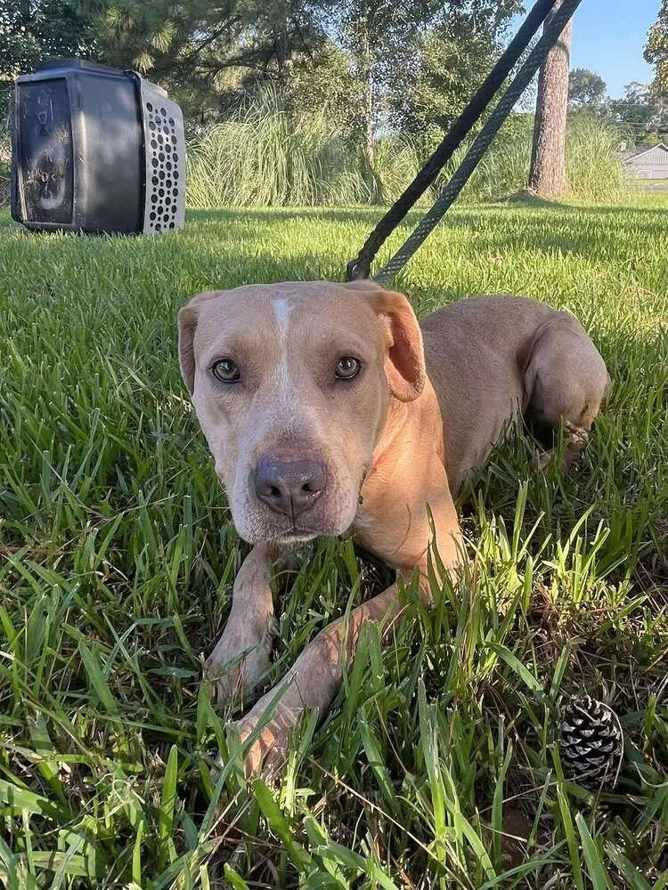 Bubbles A 💜 thumbnail 4