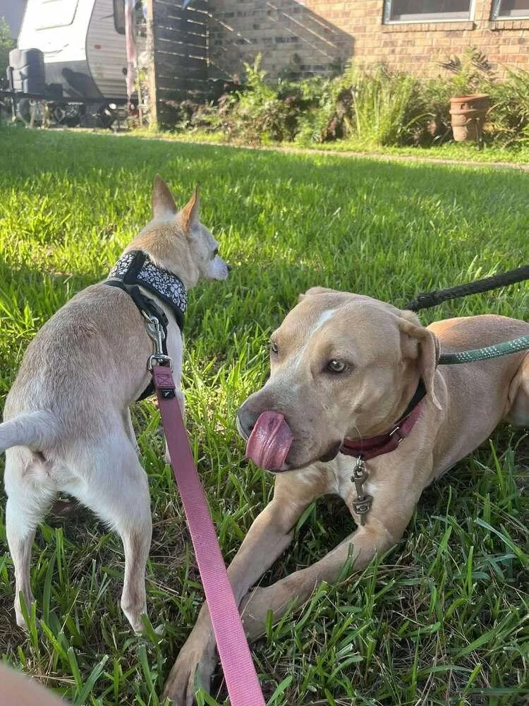 Bubbles A 💜 thumbnail 5