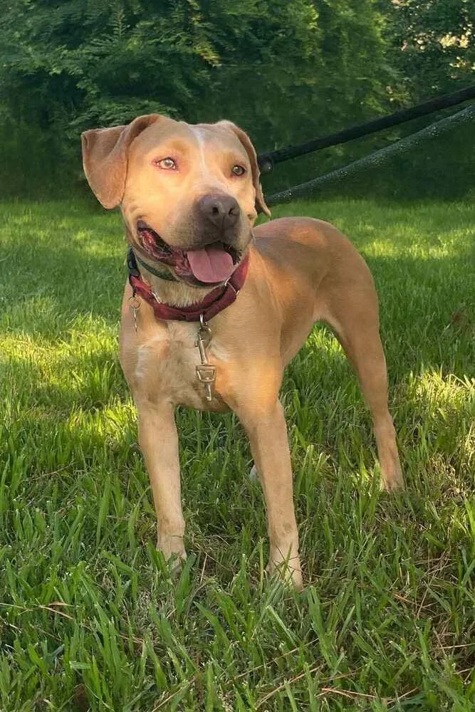 Bubbles A 💜 thumbnail 6