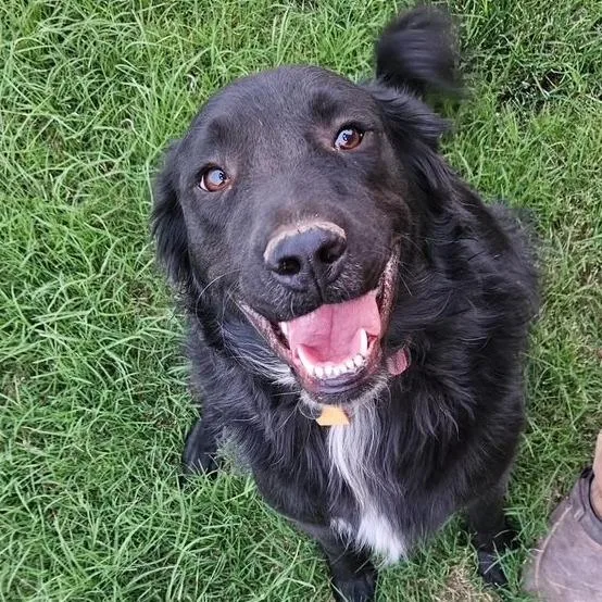 Coco