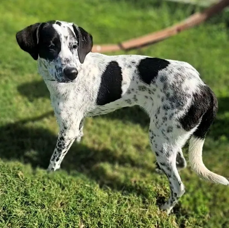Marley Mae thumbnail 6