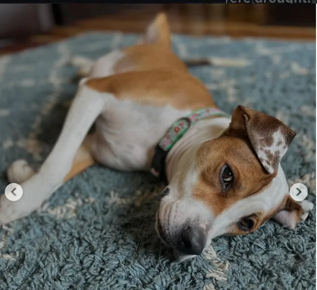 Otis thumbnail 2