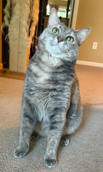 Cleopatra thumbnail 2