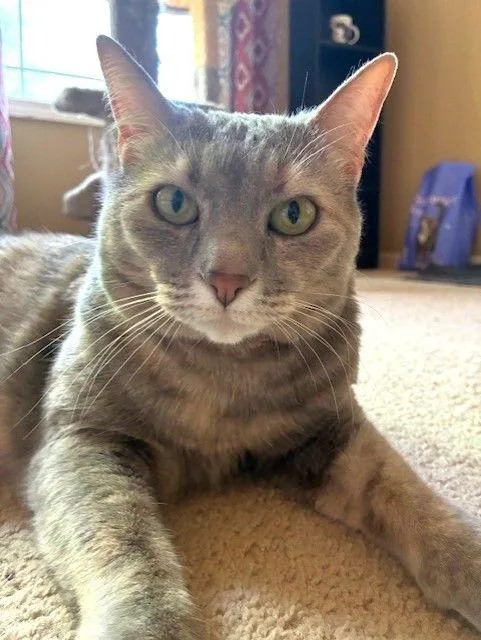 Cleopatra thumbnail 3