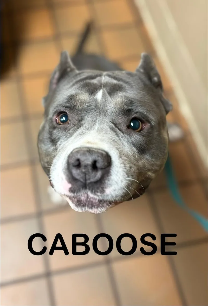 Caboose