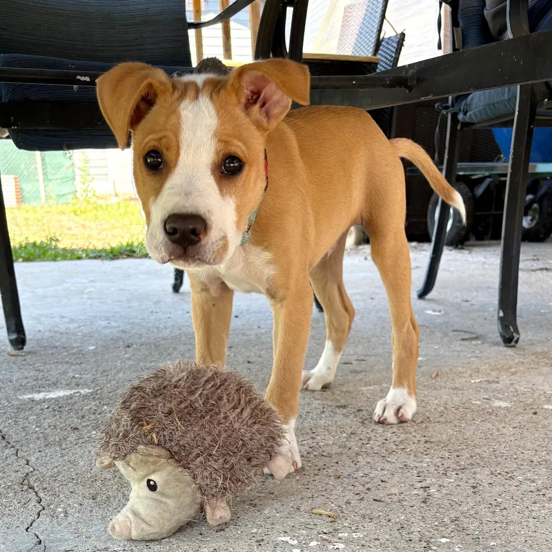 Freddie Mercury thumbnail 3