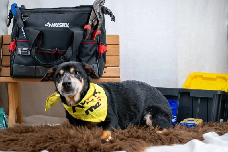 Drill Bit thumbnail 3