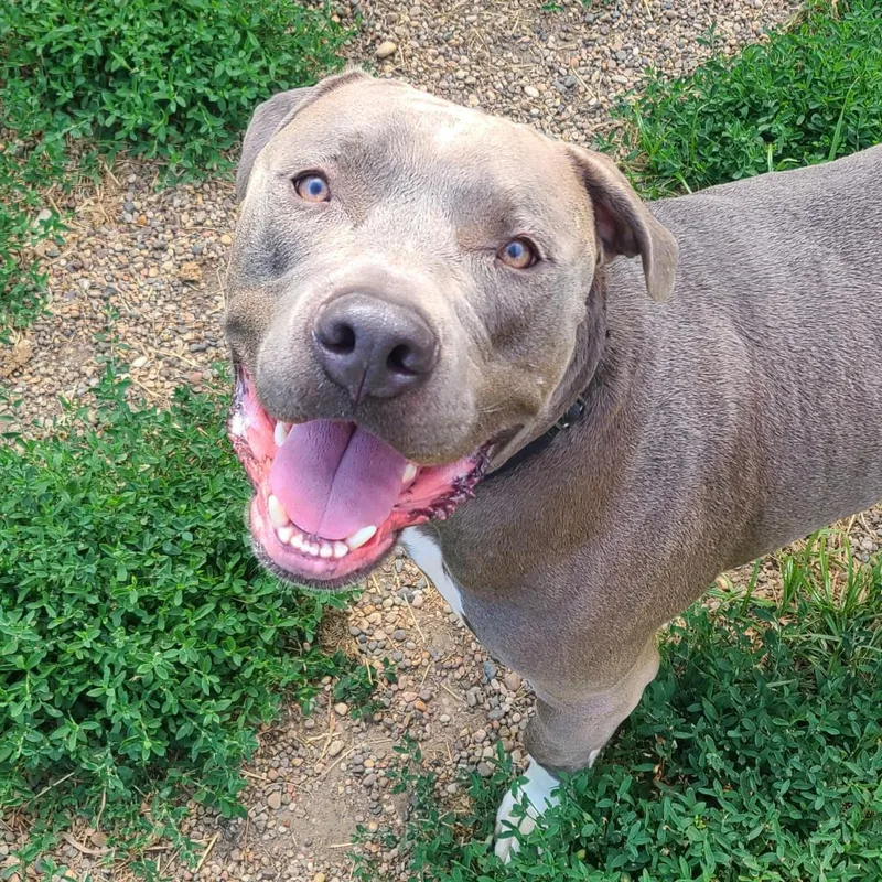 Big Papa thumbnail 2